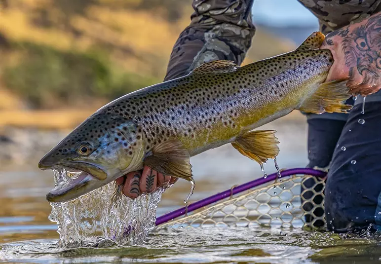 beginner freshwater fishing beginner freshwater fishing