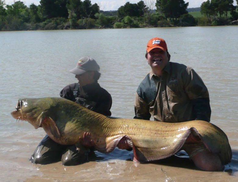 how to catch catfish