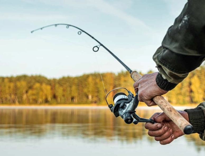 beginner freshwater fishing beginner freshwater fishing