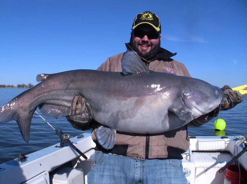 catfish fishing tips