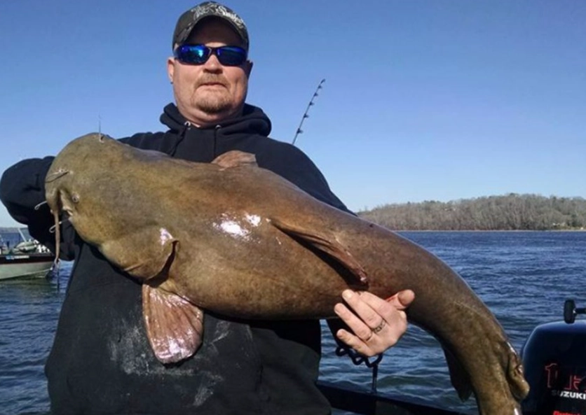 catfish fishing tips