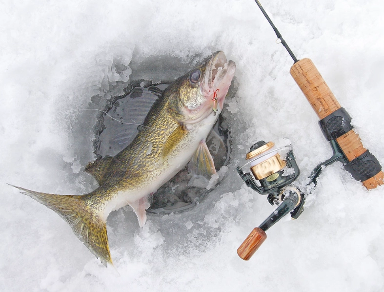 ice fishing for beginners