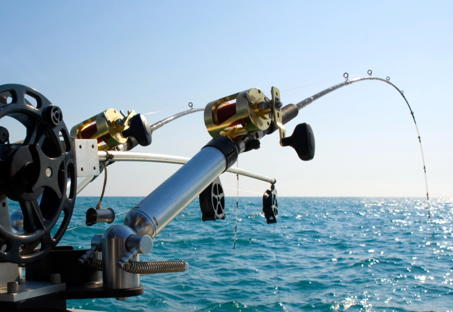 how to fish how to fish