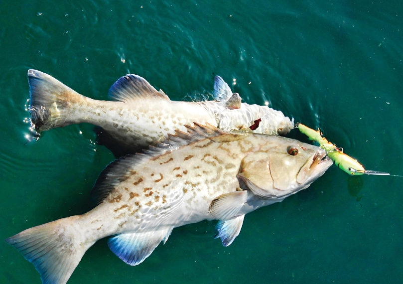 best fishing spots near me