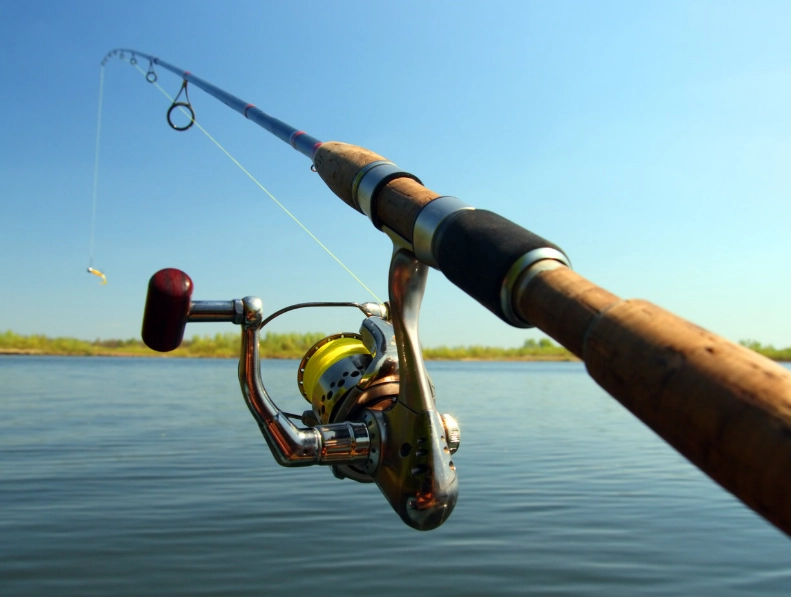 how to choose a fishing rod