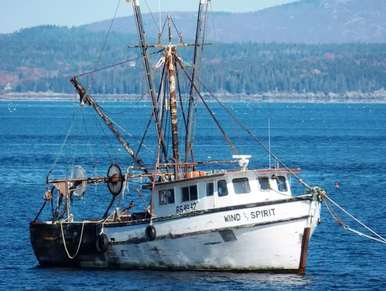 best fishing boat for beginners