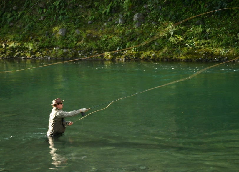 how to fish how to fish