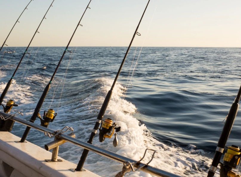 deep sea fishing charters
