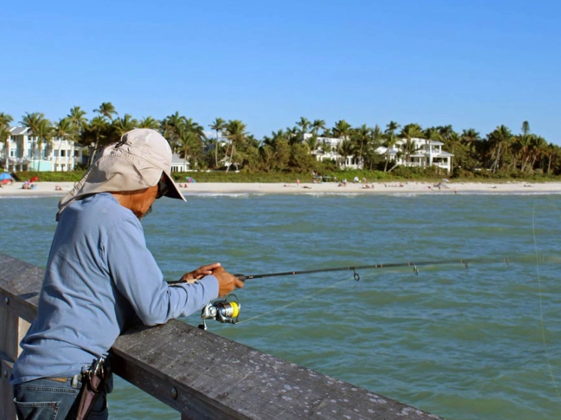 how to catch more fish