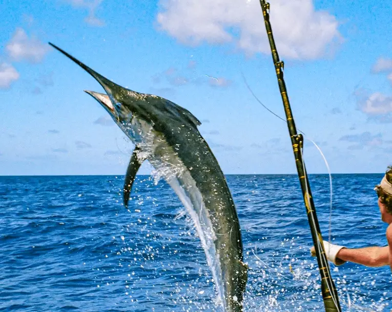 offshore fishing tips