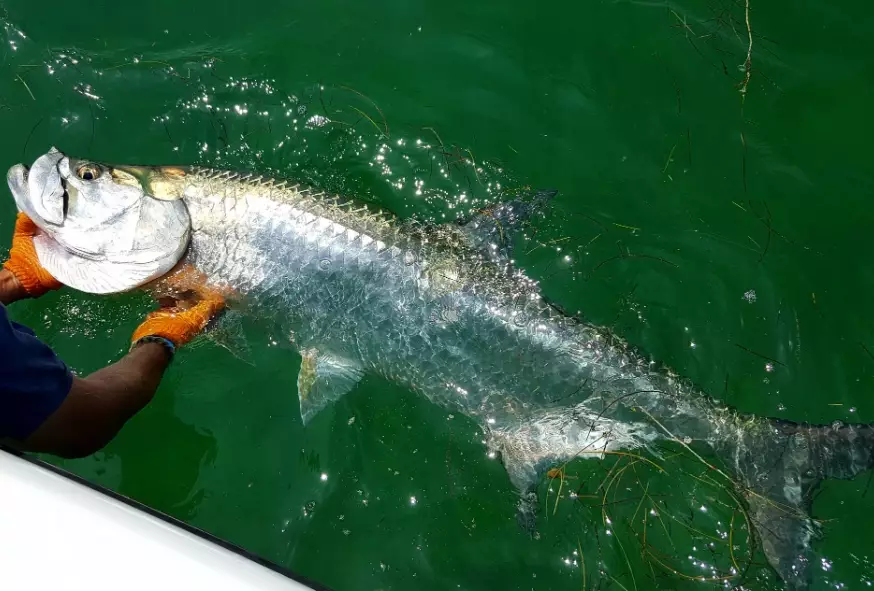 how to find good fishing spots