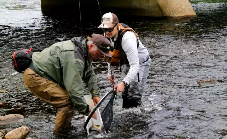how to enter a fishing competition