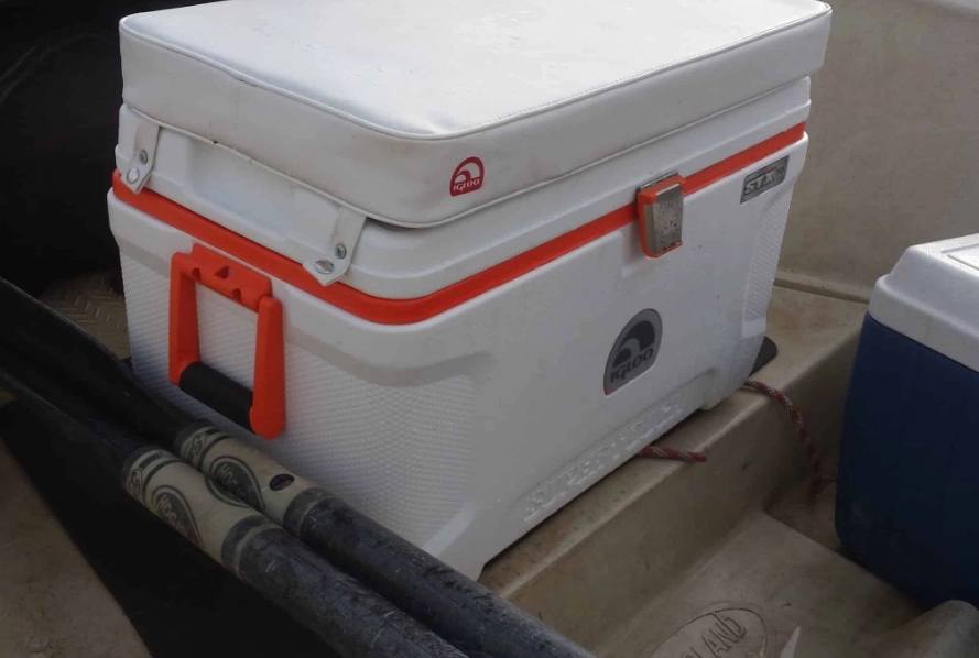 cooler for fishing