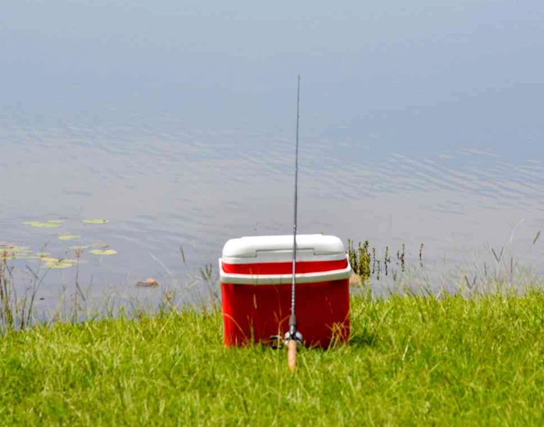 cooler for fishing