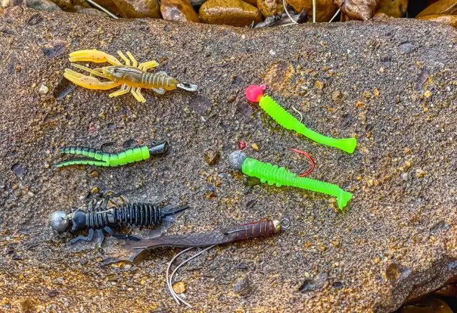 trout fishing bait