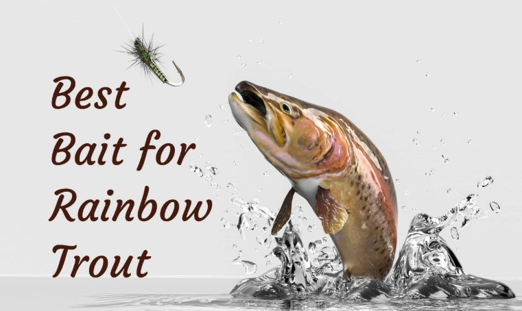 powerbait for trout