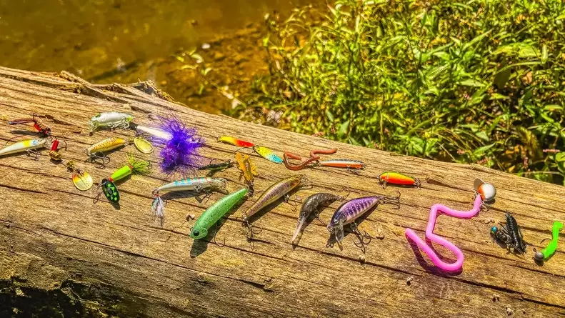 live bait for trout