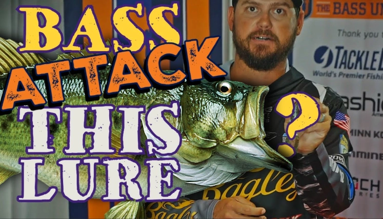 Bass Oreno ban