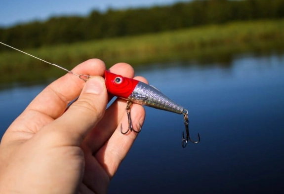 trout fishing bait