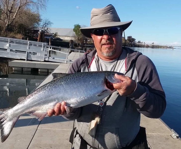 salmon fishing regulations California