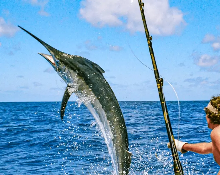 deep sea fishing