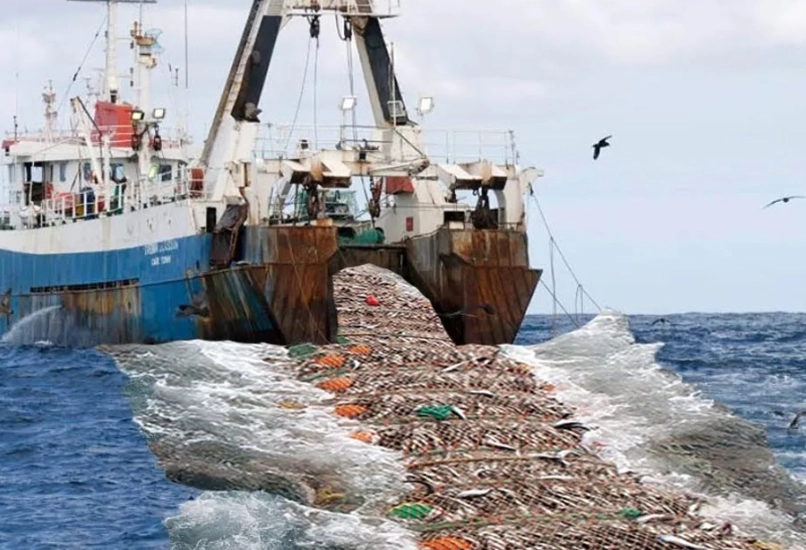 commercial fishing regulations