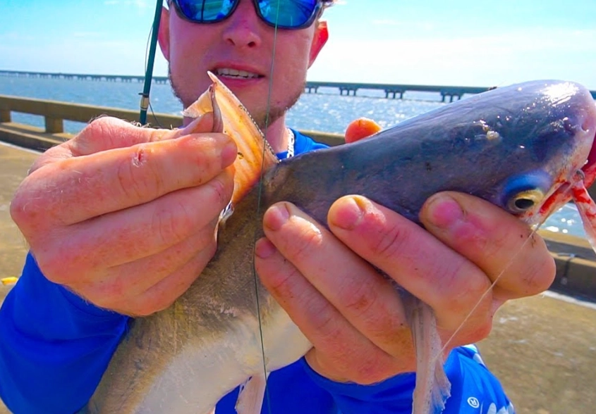 catfishing waiting strategies