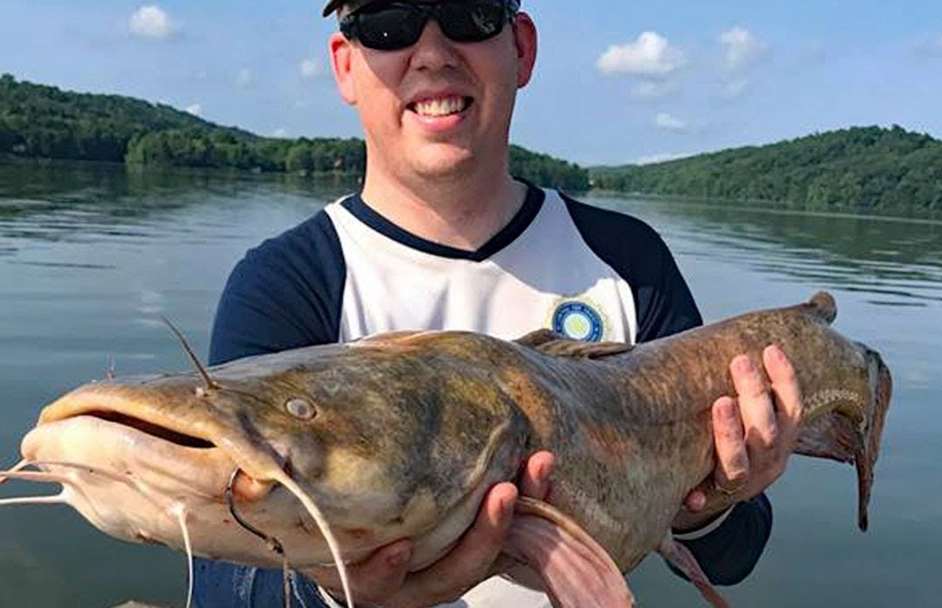 catfish bait