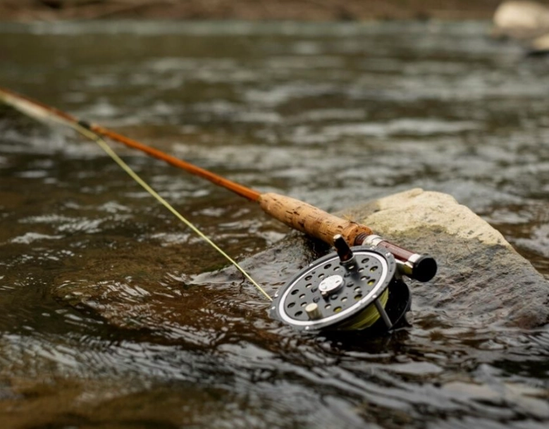 best fly rod for beginners