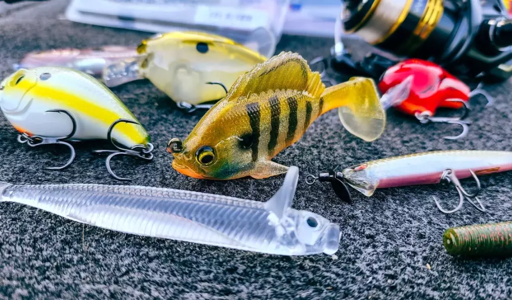 bass fishing rods