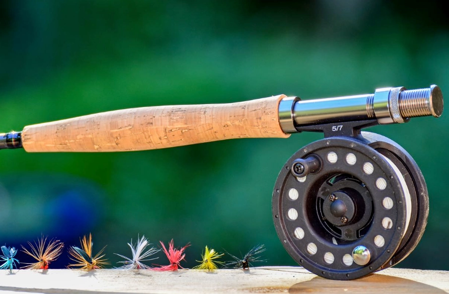best fly rod for beginners