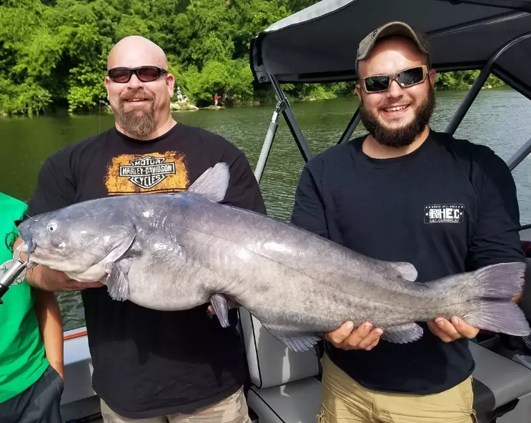 how to catch catfish in lakes