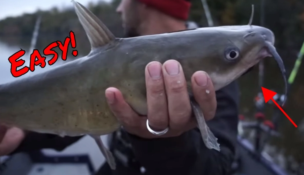 catfishing techniques