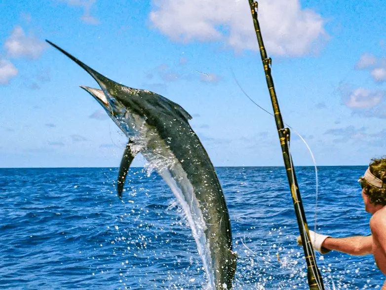 offshore fishing tips