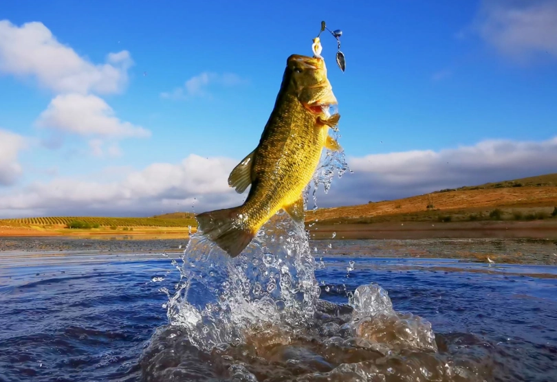 90/10 rule bass fishing