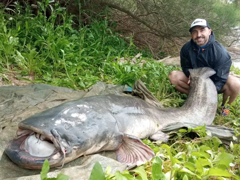 catfish fishing