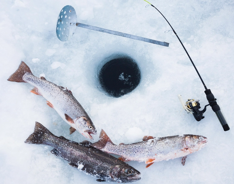 ice fishing purpose