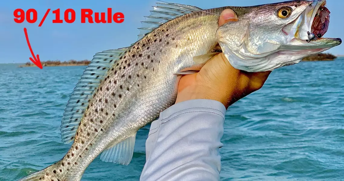 bass fishing tips