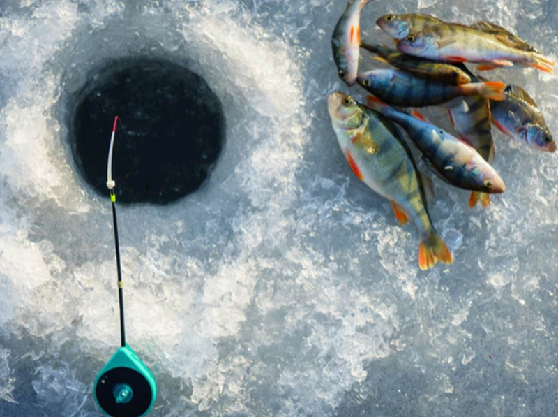 why ice fishing