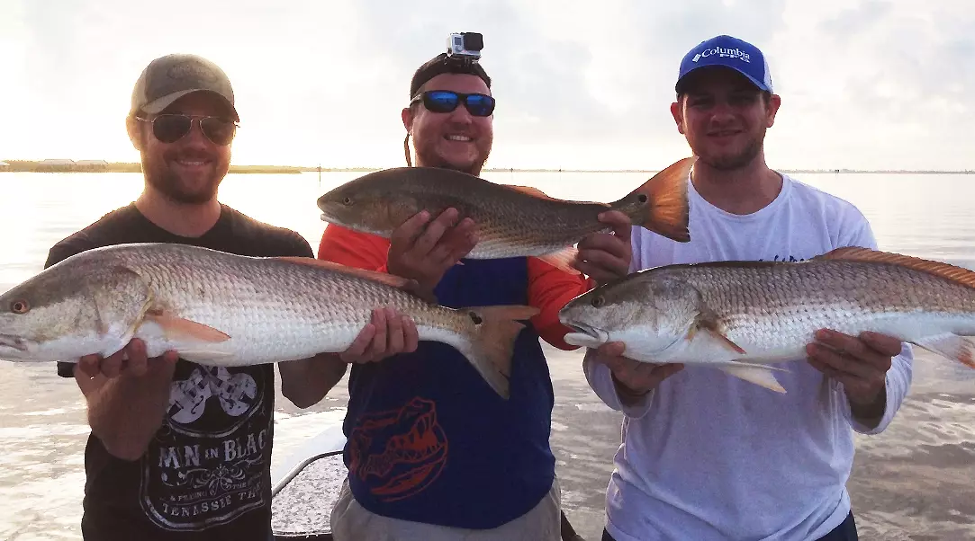 bass fishing tips