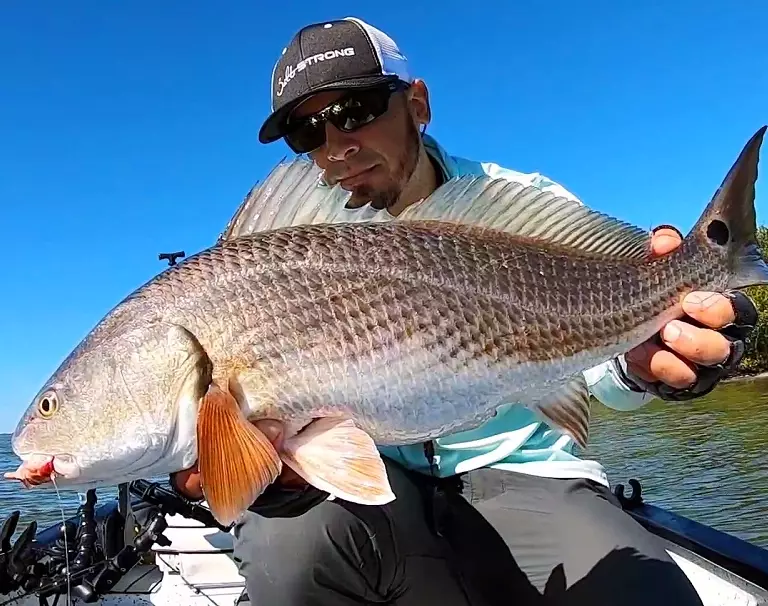 locating bass