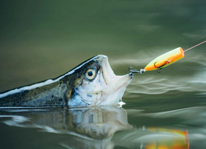 artificial lures for trout