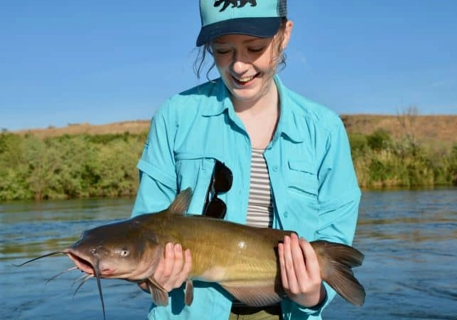 how to catch catfish