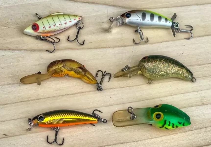 live bait for bass