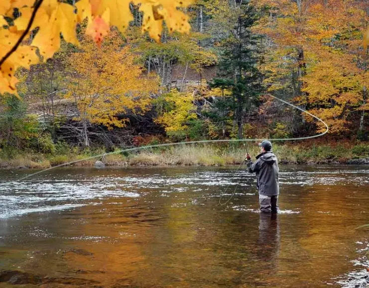 fly fishing meaning