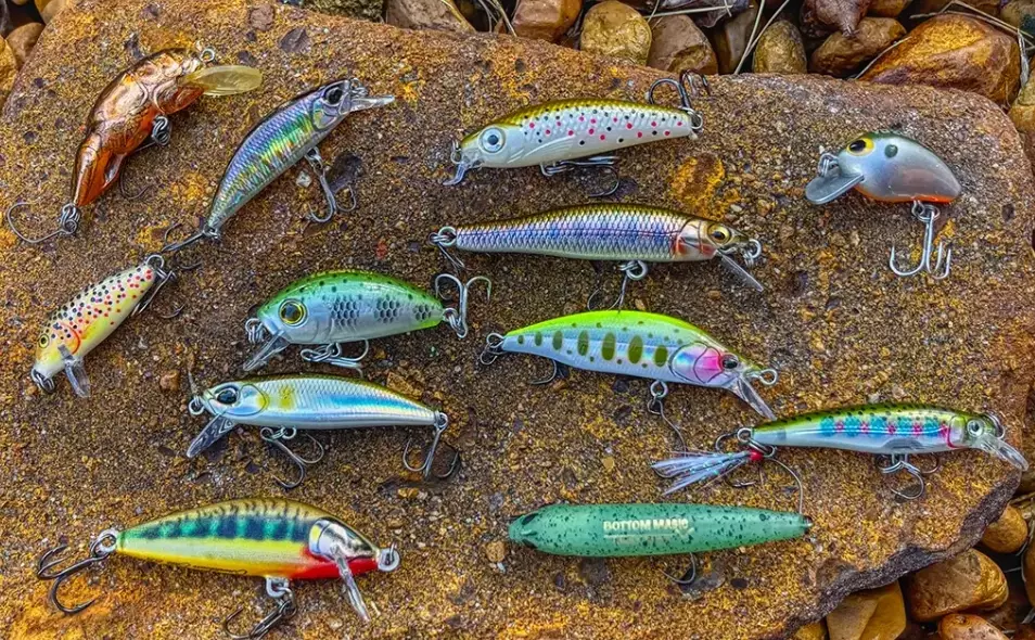 best freshwater fishing bait