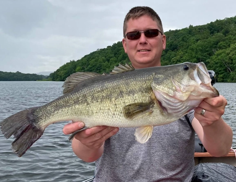 bass fishing lures
