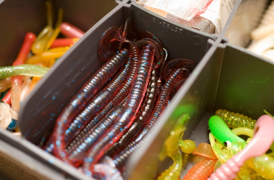 fishing bait worms