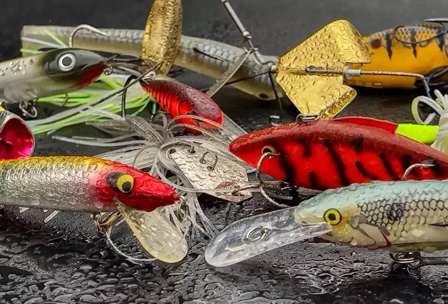 best freshwater fishing bait