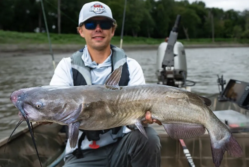 best catfish bait